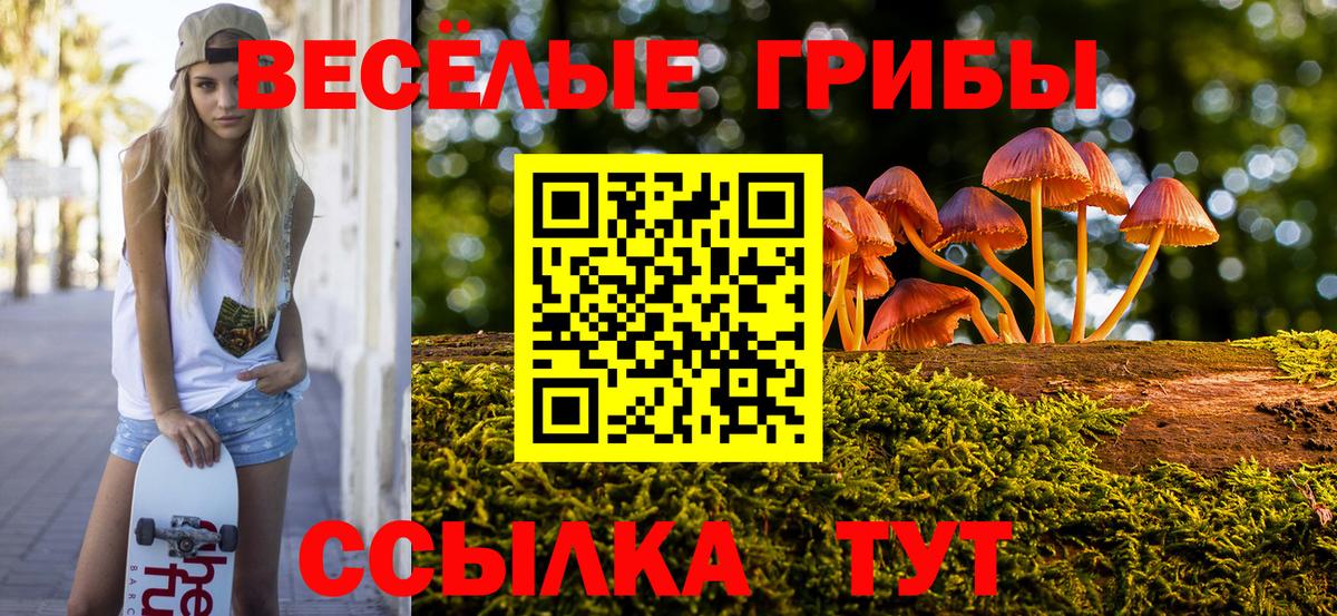 Галлюциногенные грибы Cubensis  Вход с VPN  Энгельс 